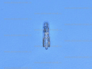 ��������� 24V W1W T5 13521 Philips