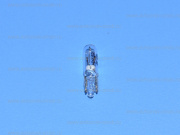 ��������� 12V W2.3W T5 2723 Osram