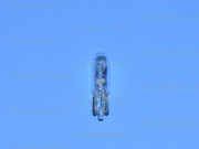 ��������� 12V W2.3W T5 17073 Narva