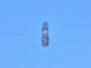  24V W1.2W T5 2741 Osram