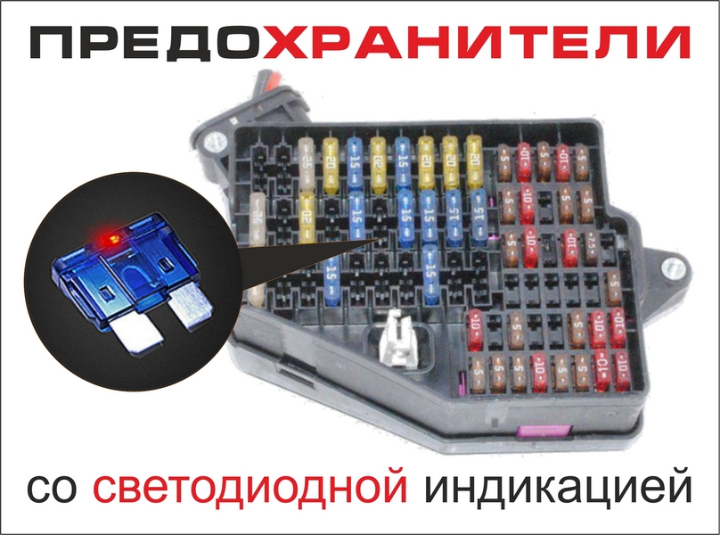 896865.jpg