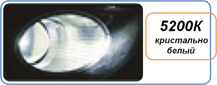 01--8-5200.png