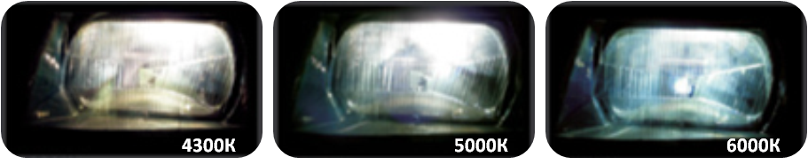 3534646786.png