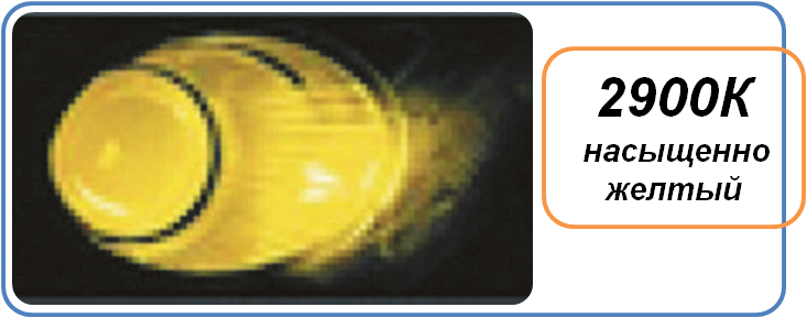 01--8-2900.png