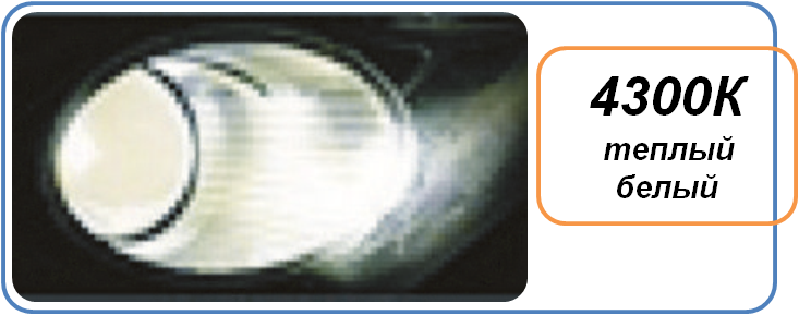 01--8-4300.png