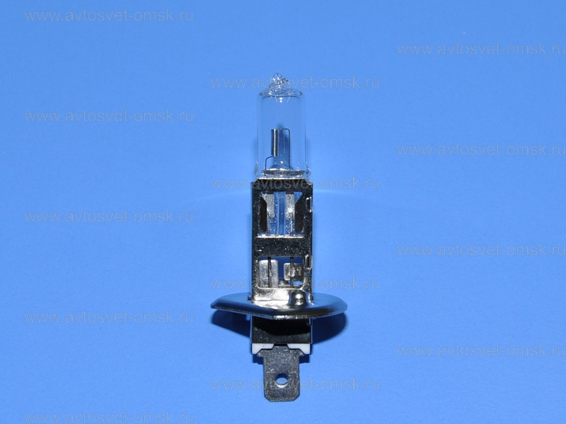  12V H1 100W 12101 